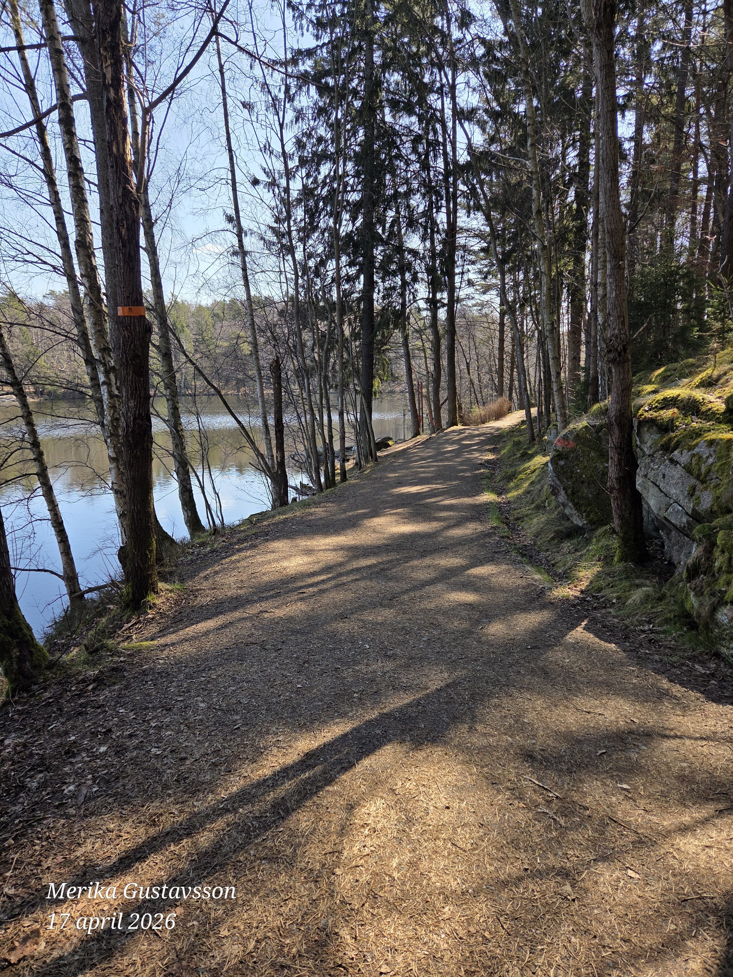 Morgonstund har guld i mun