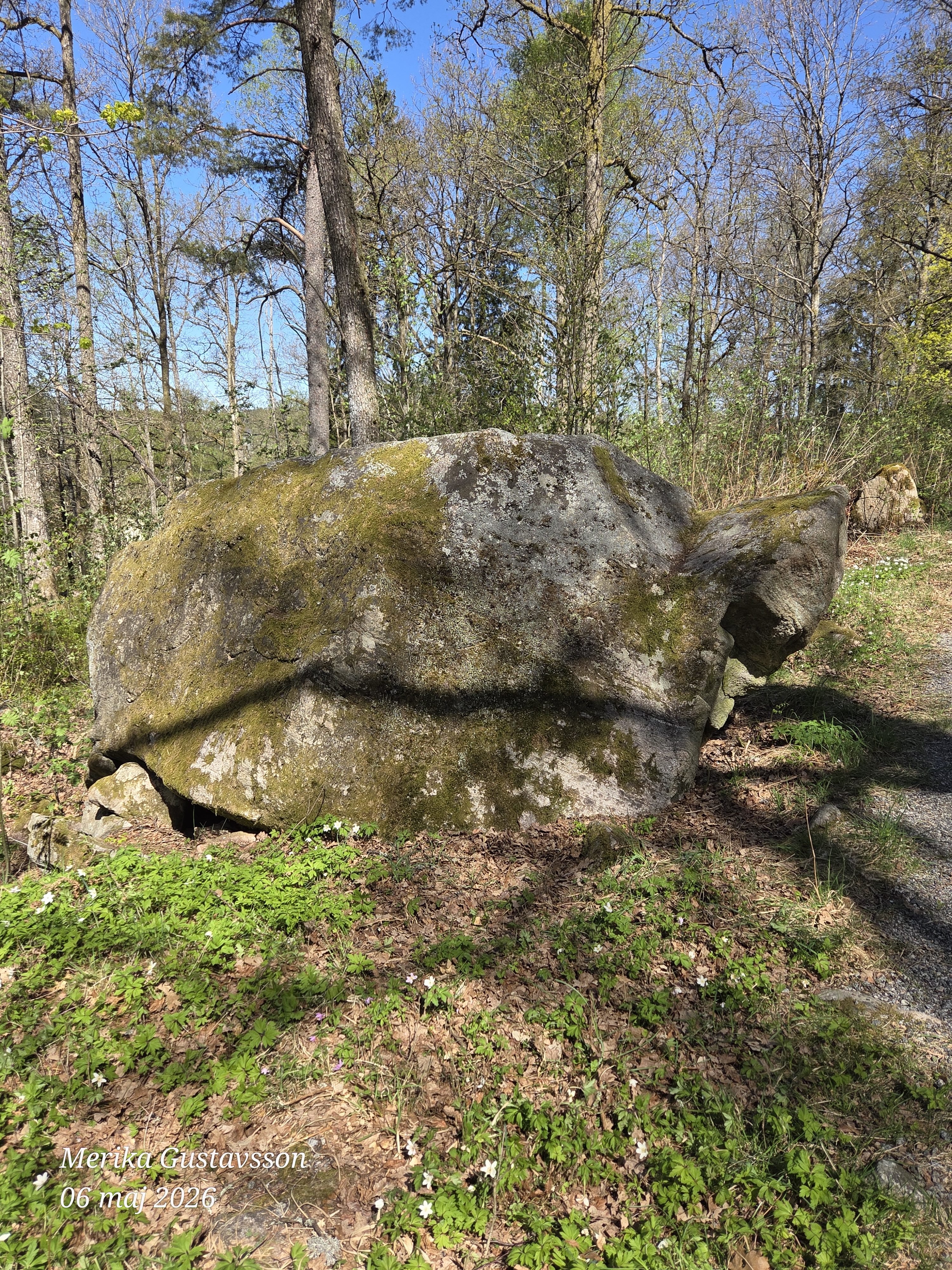 En ny värld öppnas
