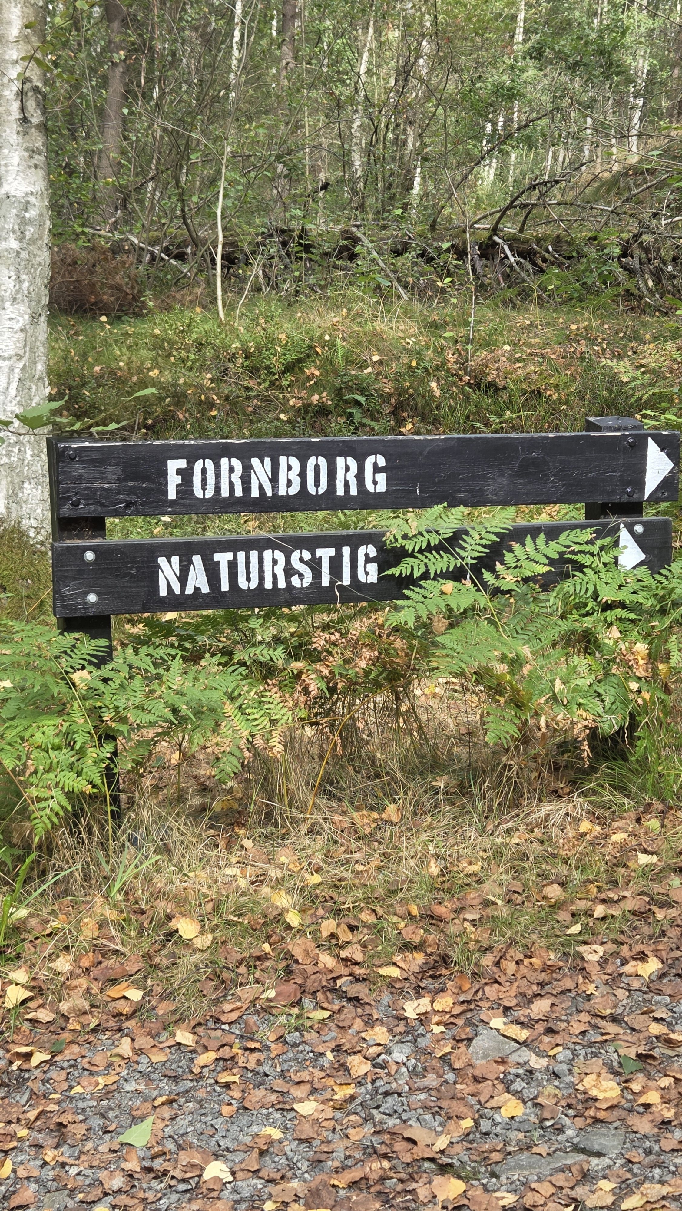 Foton från v 36