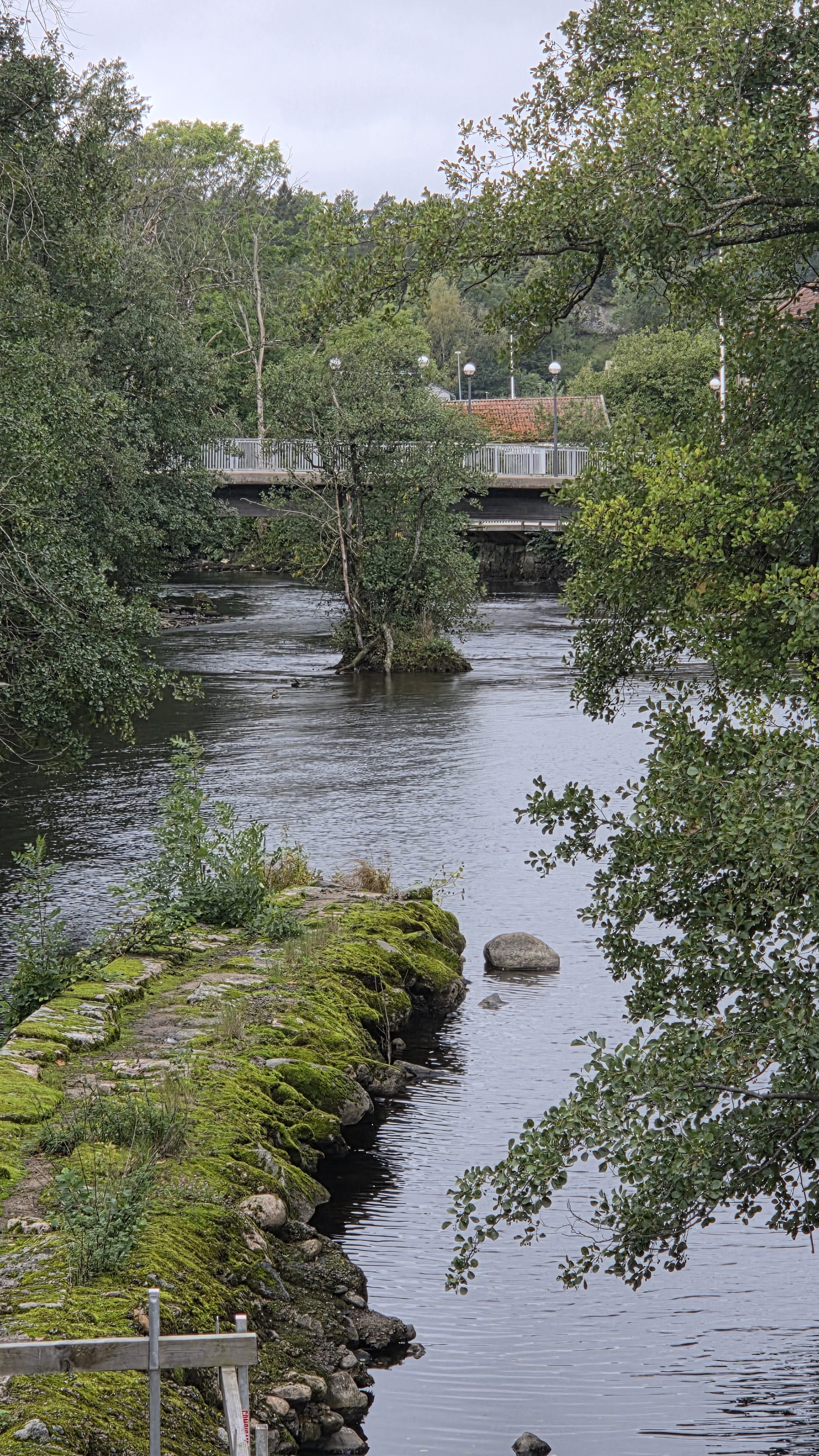 Vecka 37 och 38